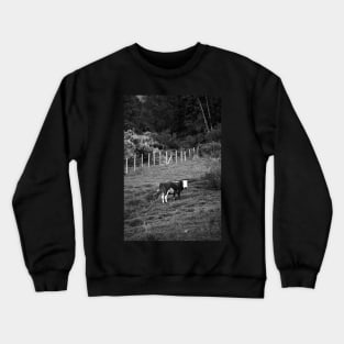 Cow (black and white) Crewneck Sweatshirt